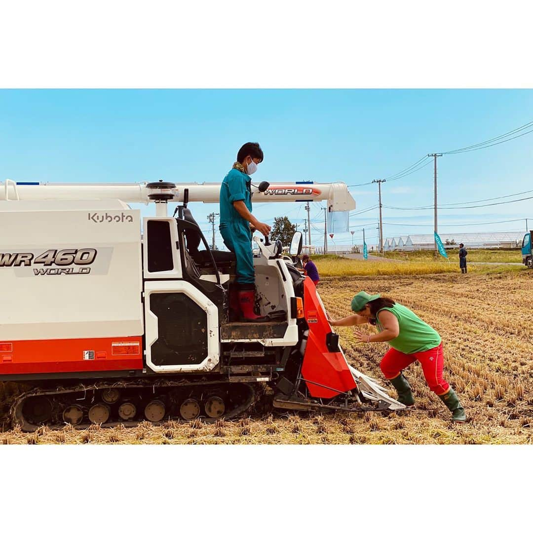 橋本千紘さんのインスタグラム写真 - (橋本千紘Instagram)「農姫米稲刈り🌾🌾🌾﻿ ﻿ 農業はやっぱり最高です😊﻿ ﻿ #仙女  #センダイガールズプロレスリング #sendaigirlspro  #女子プロレス #プロレス #prowrestling #prowrestler #筋肉女子 #ぎゅん #道場 #training #warmingup #muscle #musclegirls #農業 #稲刈り #お米作り #農姫米 #稲刈り #農業女子」9月17日 20時56分 - chihero71