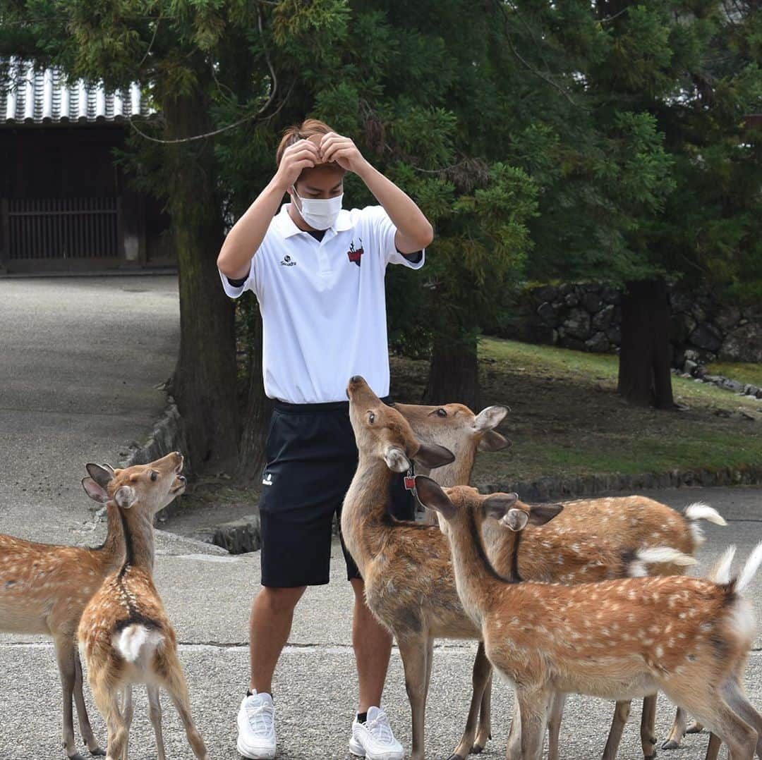 バンビシャス奈良さんのインスタグラム写真 - (バンビシャス奈良Instagram)「【#東大寺 #二月堂 #必勝祈願】  #バンビシャス奈良」9月17日 20時58分 - bambitiousnara