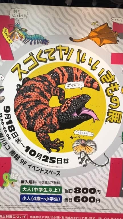 のインスタグラム：「#スゴくてヤバいいきもの展  #スゴヤバ展」