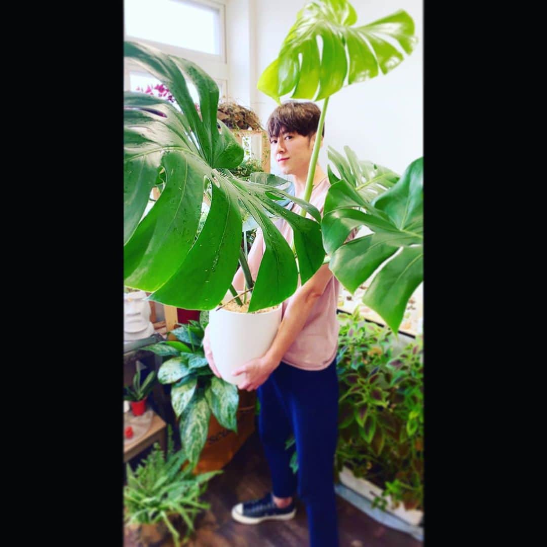 Lego Liのインスタグラム：「🌱🌿☘️🍀🍃🍃」