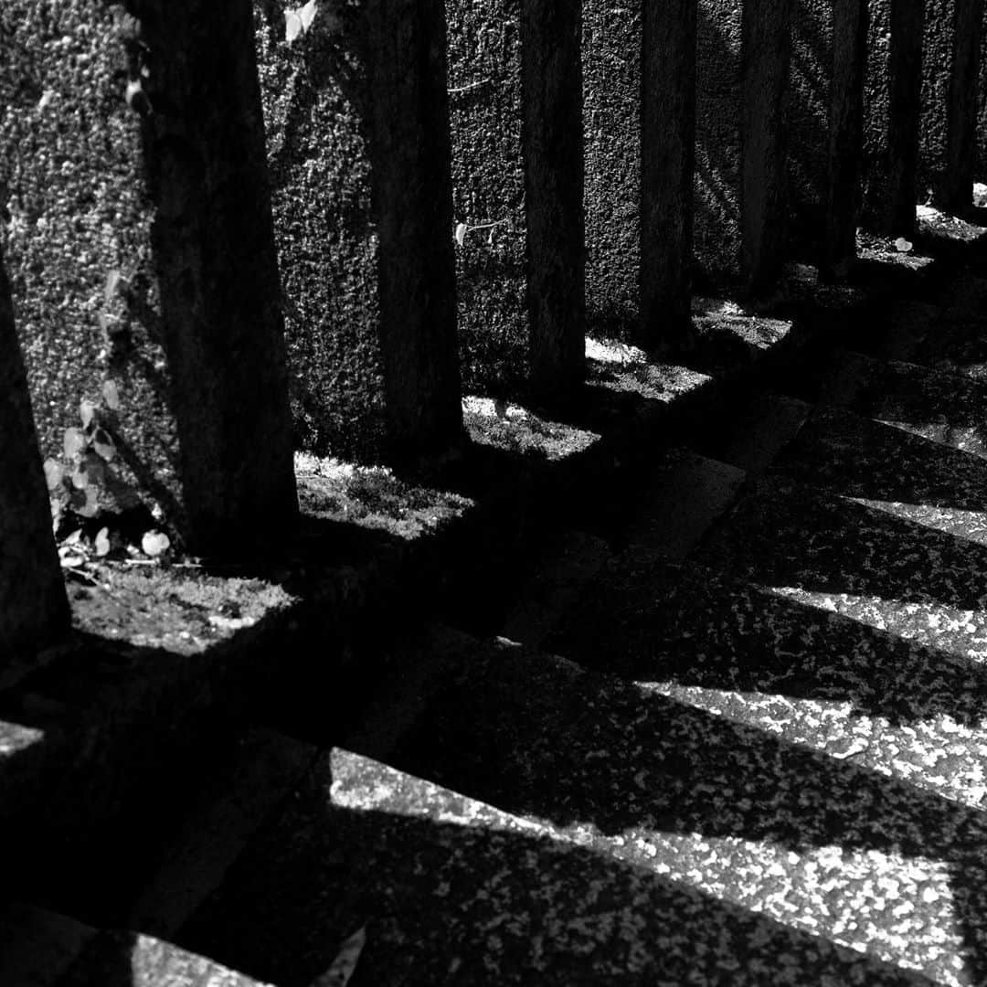 naotakeのインスタグラム：「石段 - Stone steps / X-T2 & Snapseed, 20200918 . . テンパリ気味。 . . #spicollective #royalsnappingartists #infamous_family #rsa_main #infinity_photo_cult #2_fineart #jp_gallery_member #jp_gallery_bnw #trb_bnw #wp_bnw  #bnw_life #bnwlife_member #bnw_life_shots #bnw_captures #world_bnw #top_bnw #team_jp_ #team_jp_モノクロ #ig_energy_bw #ig_nihon #streetphotographybnw #igersjp #blackandwhite #bnw #bnwphoto #monochrome #bw #bnwphotography #今日もx日和 #fujifilm_xseries」