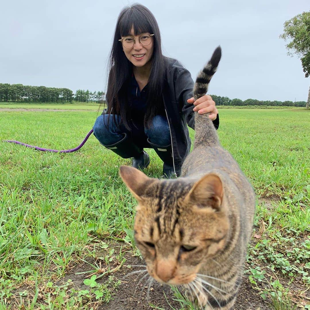 柴咲コウさんのインスタグラム写真 - (柴咲コウInstagram)「♡♡ OUR HOME FARM ♡♡  🐈🐏🐎🐑🐴🐑🐎🐏🐈    🐓🐥🐥🐓🐥🐥」9月17日 21時56分 - ko_shibasaki