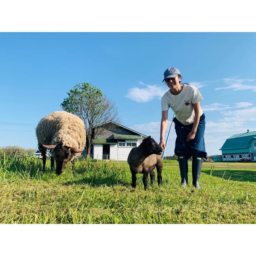 柴咲コウのインスタグラム：「♡♡ OUR HOME FARM ♡♡  🐈🐏🐎🐑🐴🐑🐎🐏🐈    🐓🐥🐥🐓🐥🐥」