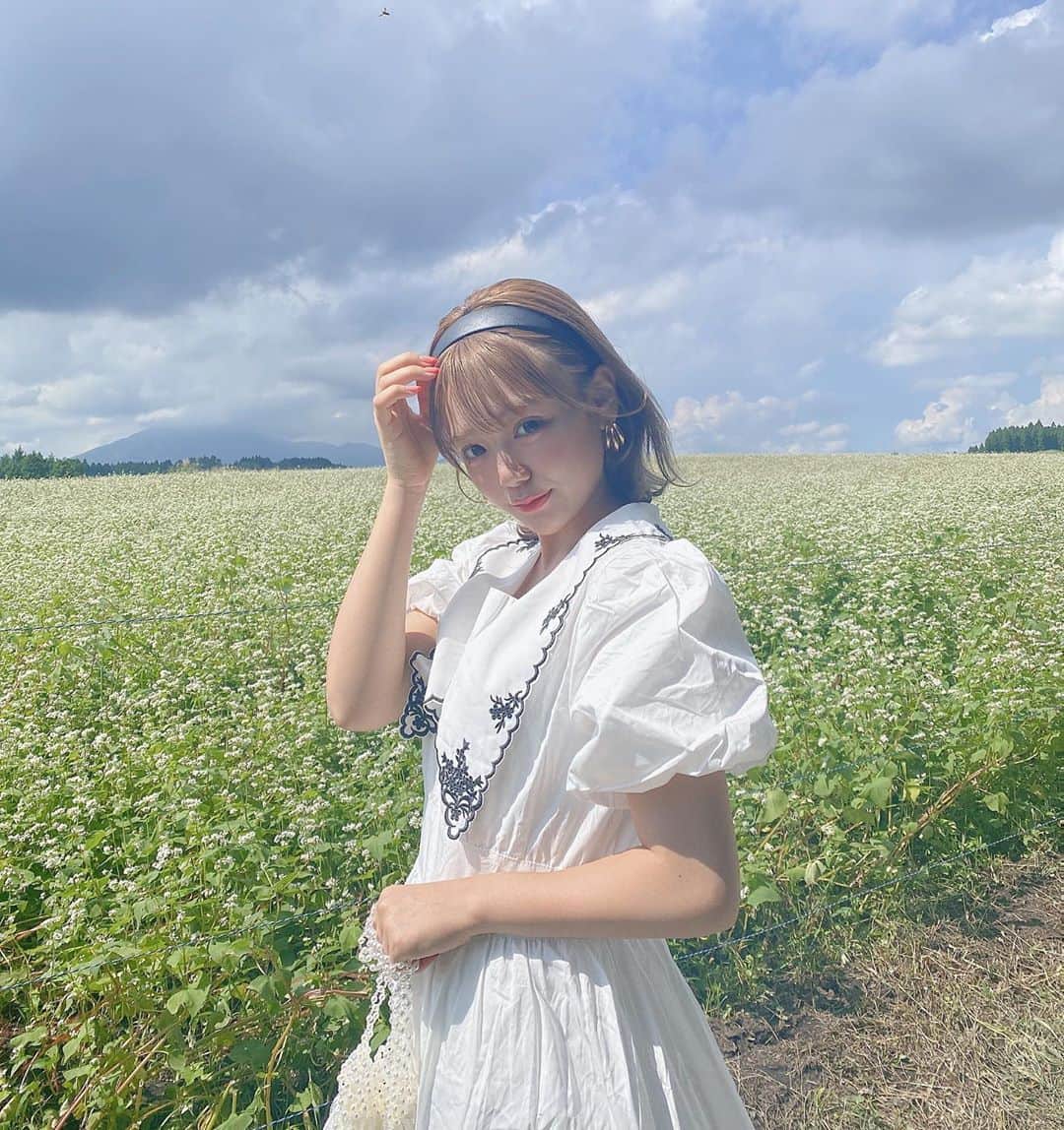 古澤里紗さんのインスタグラム写真 - (古澤里紗Instagram)「そば畑🕊🌱 . . . みんなはそばの花って見たことある？？ 白くてかわいよなぁ😌🐾 . . . #ふーりーこーで」9月17日 22時02分 - fuuuuu_ri