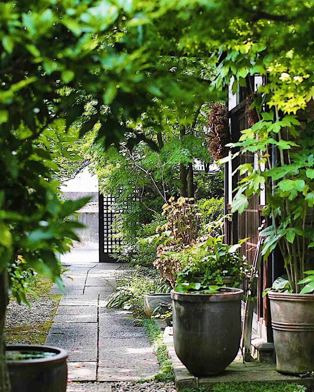 フランスアンティーク ランスタンのグルメインスタ