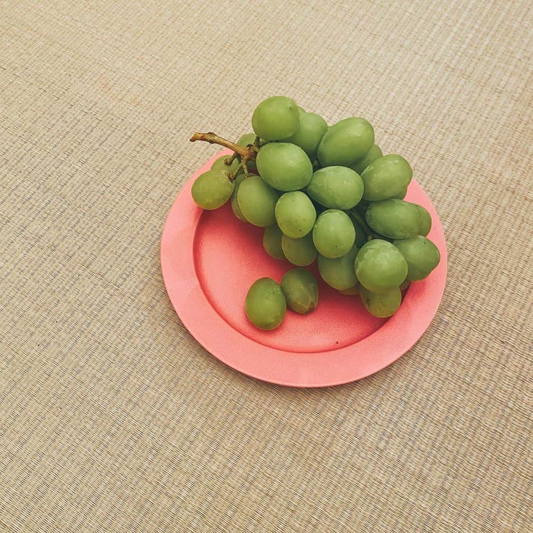 イアリサのインスタグラム：「@datesui2003 のシャインマスカットが届いたよ🍇 身がギュッとつまってて 歯応えもしっかりあって 目を瞑って食べると ジューシーな甘みと少しの酸味が口の中で爆発します。 果物、ほんとに大好き。 果物の仕事もやりたいくらい大好き。 . #伊達水蜜園 #果物アンバサダー #シャインマスカット #私の将来入る棺桶には顔の周りに花と果物たっくさん詰め込んでください」