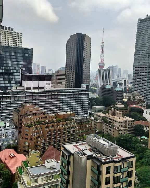 松坂南さんのインスタグラム写真 - (松坂南Instagram)「昼間の空も好き❤️  #lovetheearth  #lovethesky  #tokyo」9月17日 23時09分 - minami_matsuzaka