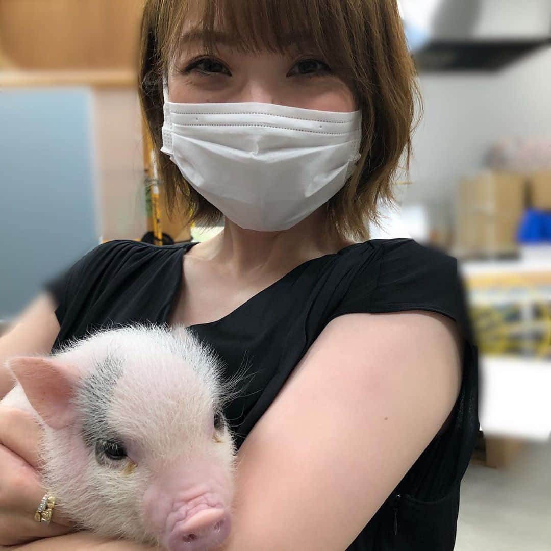 奈良岡希実子のインスタグラム：「豚さんが可愛すぎてどうしようかと思った！ブーブー鳴かれたけどそれもまためんこい❤️ #マイクロブタ」