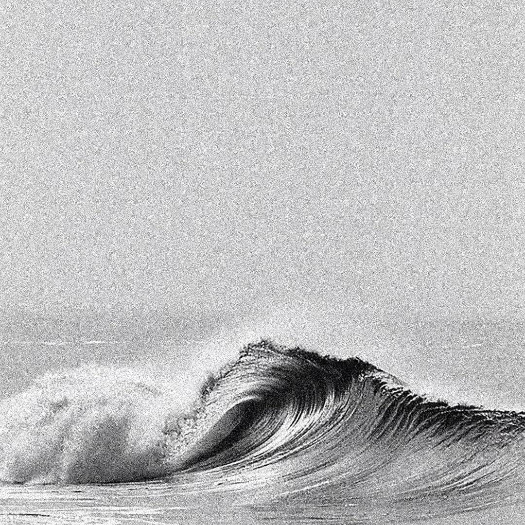 レステロッズのインスタグラム：「#wecallittimeless」