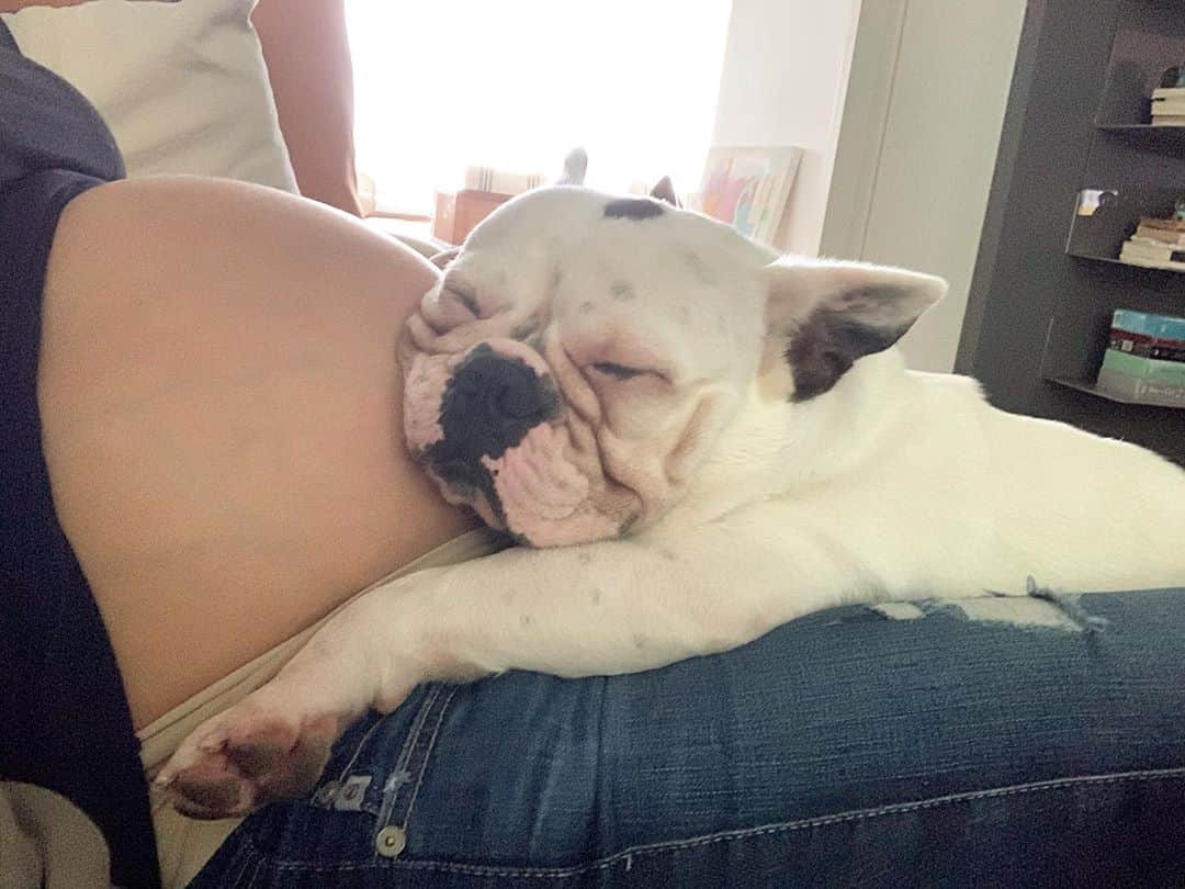ステファニー・ブリットのインスタグラム：「Eu tentei mto escrever uma legenda pra essa foto, mas nenhuma chegou perto do q eu realmente sinto qdo vejo o London grudado na minha barriga... ❤️」