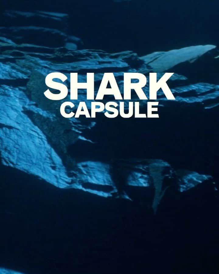 オールバーブラウンのインスタグラム：「Only one week to go until you get to explore streamlined swimwear, outerwear & technical layers designed with the precision of a shark. Sign up for the first bite of our Shark capsule via the link in bio. 🦈  #OrlebarBrown #OBsAroundTheWorld #DoseOfSun」