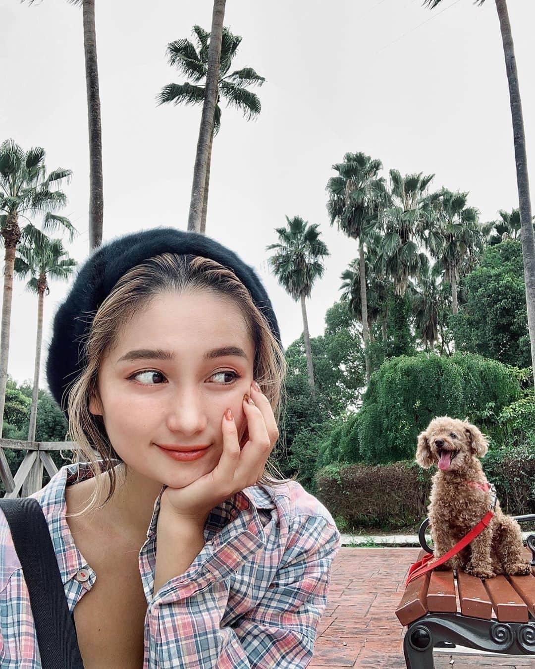 チアコマのインスタグラム：「. . 明日は6時起き🧚‍♀️ みんちゃんのこの相棒感ヤバない？w . . ホンマにテレパシーで会話できてる！ 最近よく試してるのが、 仕事終わって家に帰るときに心の中で伝えるねん！🐕 今からまっすぐ帰るからあとで公園行くから待っててねー♡！って！ ほんなら帰ったときいつもは2階か3階におるのに玄関の前で待ってる！🐕♡ みんちゃん凄くない？！心を読める感じもある！ . . って感じでとりあえず、キャンプで使うラグをネットで買いたいからそれ見ながら寝るー♡ おやすみぃぃ🧚‍♀️🧚‍♀️🐕 . . #相棒 #でかすぎるトイプードル #天パすぎるトイプードル #dog #doglover #いぬすたぐらむ #いぬのいる暮らし #公園デート #犬と猫のいる暮らし #犬好きな人と繋がりたい #いぬバカ部」