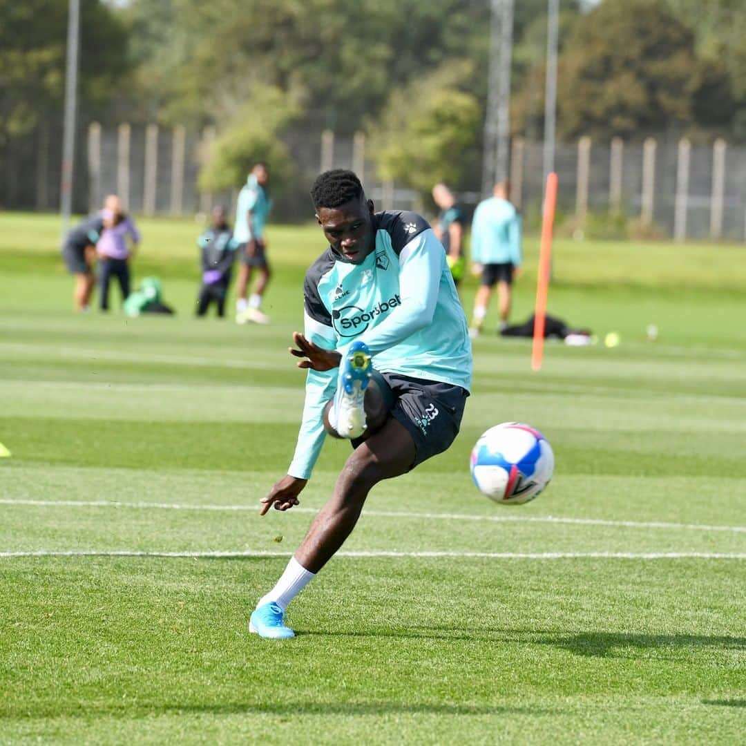 ワトフォードFCさんのインスタグラム写真 - (ワトフォードFCInstagram)「“@ismaila_sarr_18  has worked with us, improved his physical condition and we'll see tomorrow whether he will be with us tomorrow or not.” 👀🇸🇳」9月18日 1時30分 - watfordfcofficial