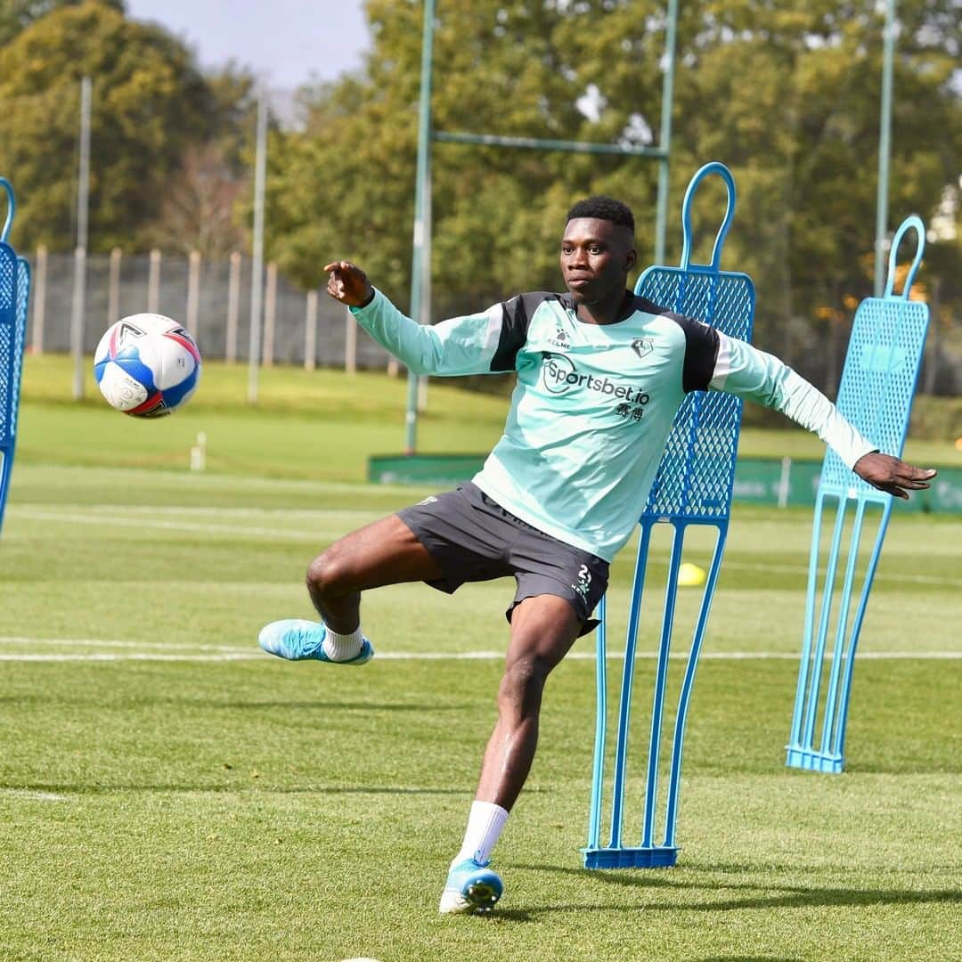 ワトフォードFCさんのインスタグラム写真 - (ワトフォードFCInstagram)「“@ismaila_sarr_18  has worked with us, improved his physical condition and we'll see tomorrow whether he will be with us tomorrow or not.” 👀🇸🇳」9月18日 1時30分 - watfordfcofficial