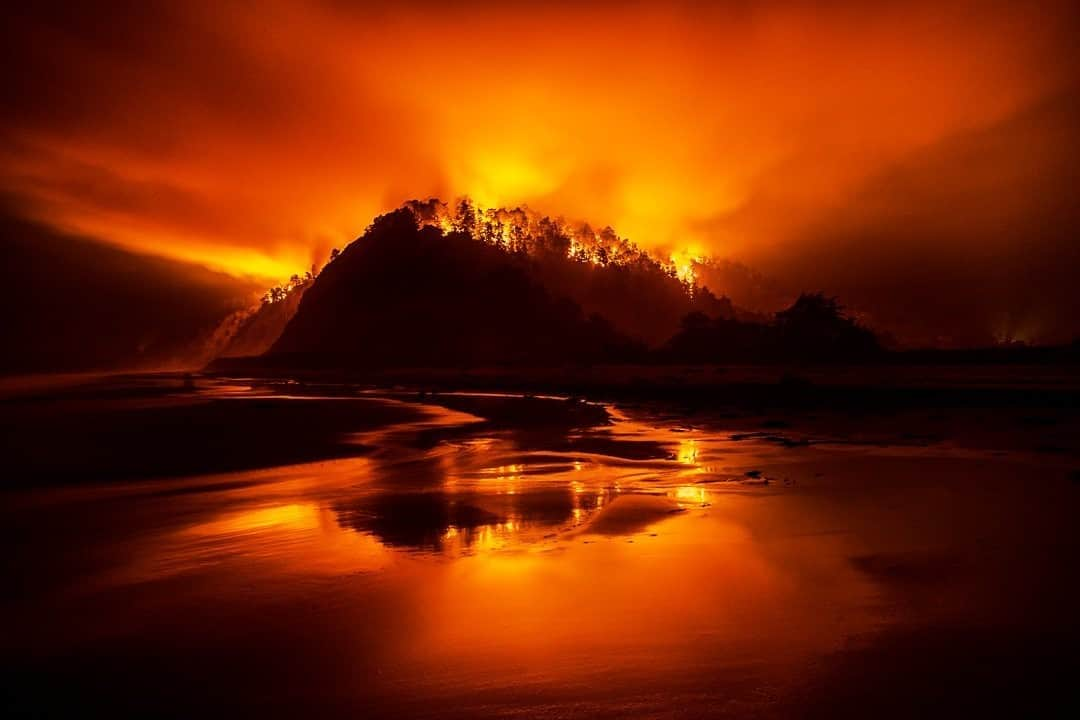 ナショナルジオグラフィックさんのインスタグラム写真 - (ナショナルジオグラフィックInstagram)「Photo by @FransLanting / The recent fires that engulfed us in California have been unprecedented in scope and consequence. One evening the fire closest to our home, near Santa Cruz, burned with such fury that it came close to the shoreline of the cool Pacific Ocean, something few would have ever imagined possible. As the smoke begins to clear, we are faced with big questions about how to prepare for the next calamity in this era of extreme weather. Follow me @FransLanting for more stories from the frontline of our changing planet.  #CZULightningComplexFire #CZUAugusLlightningComplex #CaliforniaFires #SantaCruzFire #Fire」9月18日 1時34分 - natgeo