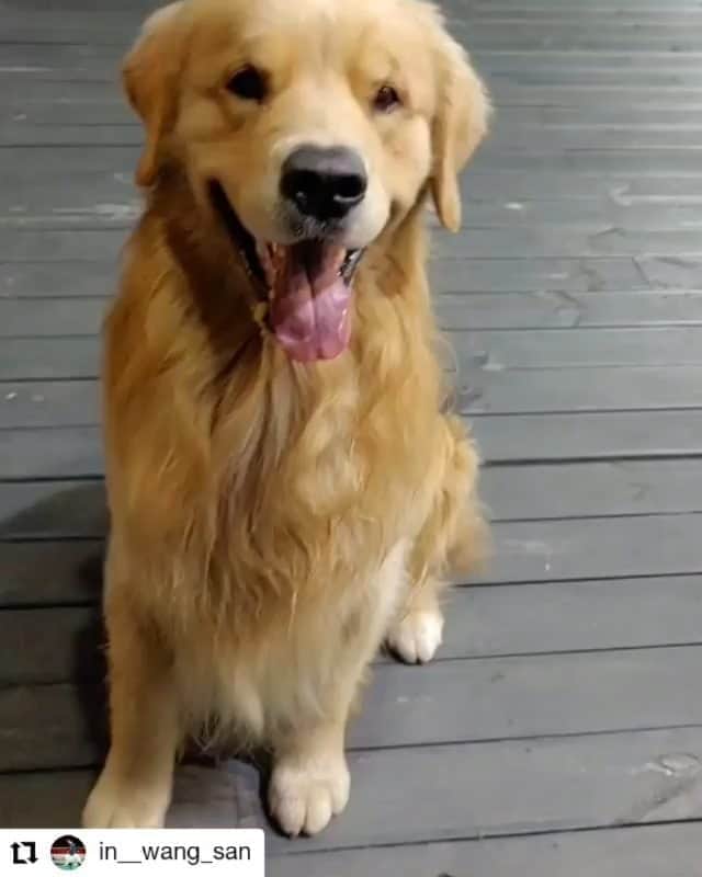 ムン・ジョンヒのインスタグラム