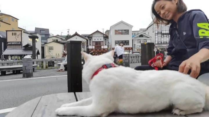 脇田恵子のインスタグラム：「おもち🍑🐶。 #移動暮らし #🐶 #♨」