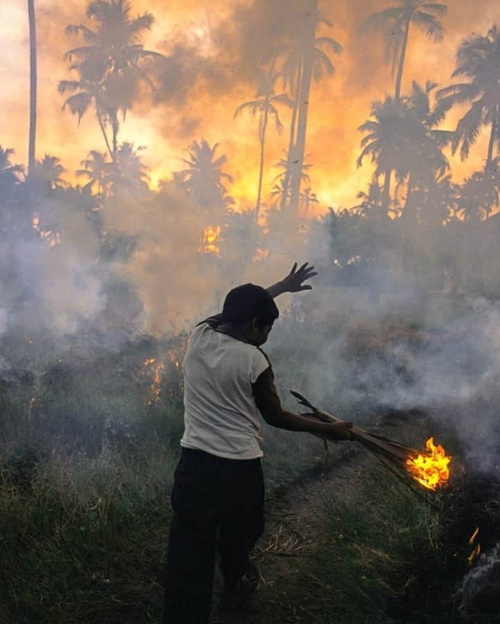 National Geographic Travelさんのインスタグラム写真 - (National Geographic TravelInstagram)「Photo by @joshuacogan / In the backwater regions near Cochin, Kerala, communities set brush fires to keep canals that are vital for transportation from clogging with vegetation. This area of India was cut off from much of the subcontinent by the Western Ghats, allowing it to develop its own culture that is unique to the region. For more images of India and Kerala, follow me @joshuacogan. #India #Kerala」9月18日 13時10分 - natgeotravel