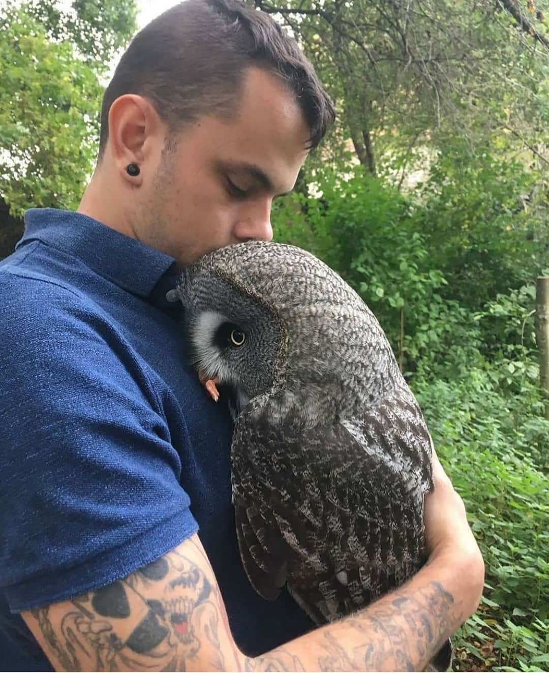 animalsさんのインスタグラム写真 - (animalsInstagram)「Great Grey Owl 🦉🤎 Photo by: @silver_charlotte_ w/ @chris.whytock Tag someone who would love to see this ❤️」9月18日 13時17分 - babyanmlpics