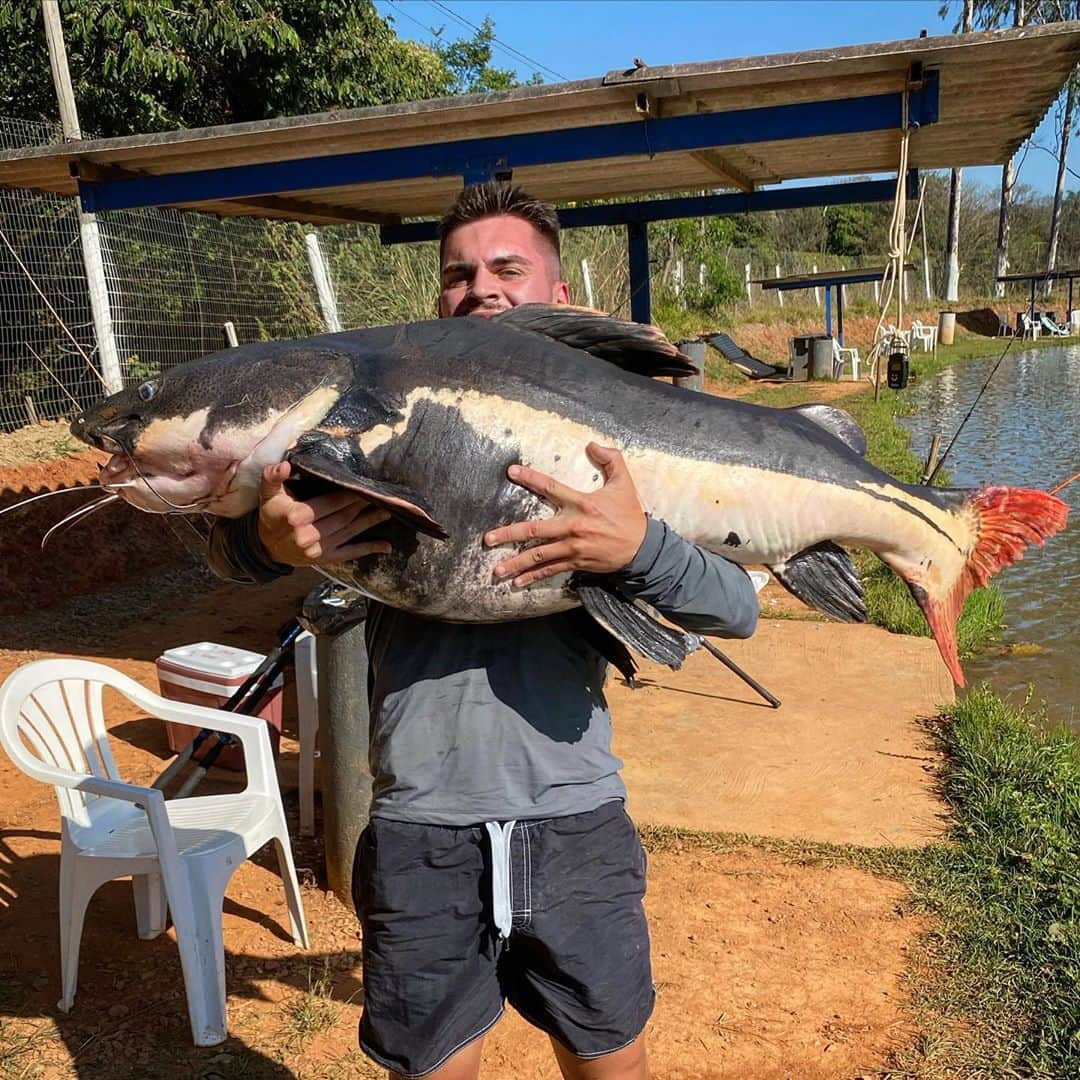 ナタンさんのインスタグラム写真 - (ナタンInstagram)「#TBT  46 KG De Pirarara 🔝💪🏻🎣  @kikiturismo é top demais ...  @saintbr.oficial Equipamento  @marnegrofishing Roupas  @jrpescaoficial Bóias  👊🏻🔝 TMJ Pivete Tá Mil Grau kkkkk」9月18日 5時22分 - nathan10