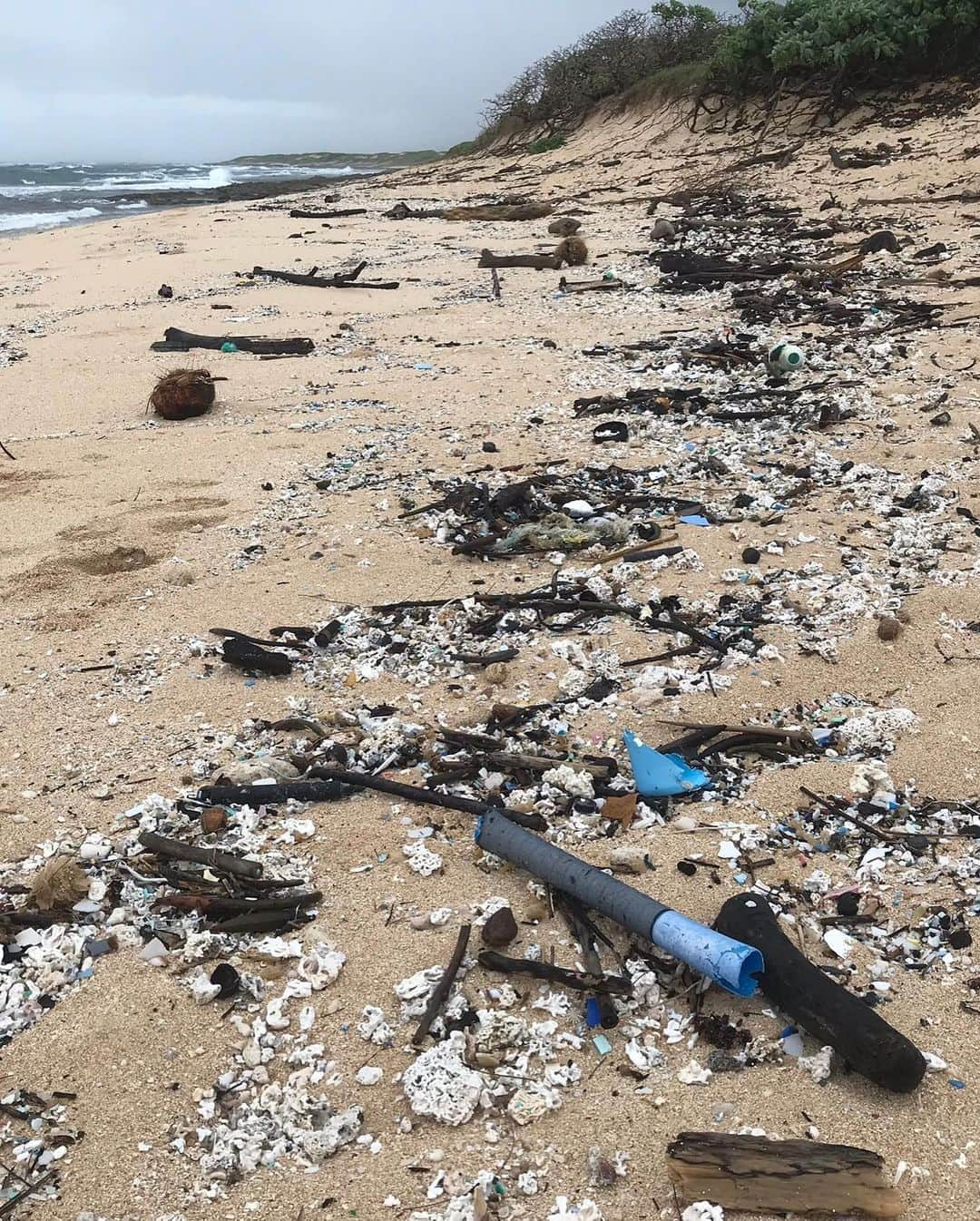 ジャック・ジョンソンさんのインスタグラム写真 - (ジャック・ジョンソンInstagram)「#REPOST @kokuahawaiifoundation:  “Typically every September, #PlasticFreeHawai’i organizes large community beach cleanups on Oʻahu for International Coastal Cleanup Day (ICCD). Now, ICCD has expanded to International Coastal Cleanup Month! Although we can not gather for large-scale beach cleanups this year, you can still do a solo cleanup at your favorite beach or in your neighborhood. Check out @Surfrider’s Solo Beach Cleanup Guidelines (link in bio!)  — Even better, practice reducing your consumption of plastic at home to truly keep our beaches clean. Head over to @SustainableCoastlinesHawaii to learn more about their Clean Beaches Start at Home campaign and check out Plastic Free Hawaii’s resource page for Tips to Go Plastic Free!” — #InternationalCoastalCleanupMonth #CleanBeachesStartAtHome #BreakFreeFromPlastic #AAOPlasticFree #SoloBeachCleanup #WorldCleanupDay #CleanOn」9月18日 6時15分 - jackjohnson