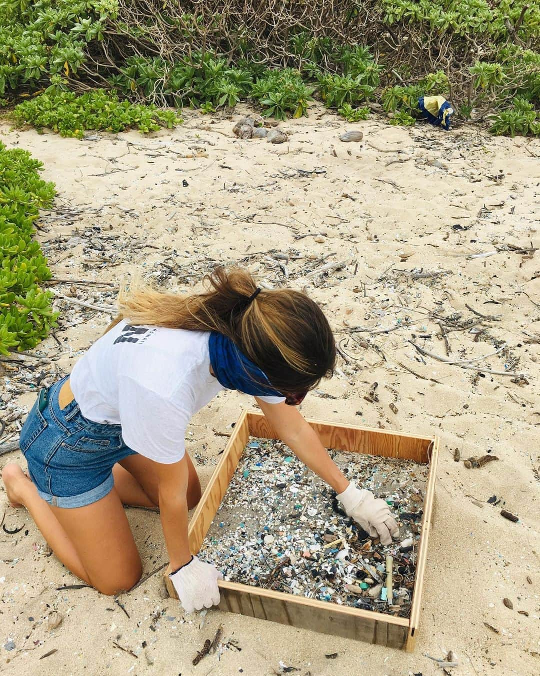 ジャック・ジョンソンさんのインスタグラム写真 - (ジャック・ジョンソンInstagram)「#REPOST @kokuahawaiifoundation:  “Typically every September, #PlasticFreeHawai’i organizes large community beach cleanups on Oʻahu for International Coastal Cleanup Day (ICCD). Now, ICCD has expanded to International Coastal Cleanup Month! Although we can not gather for large-scale beach cleanups this year, you can still do a solo cleanup at your favorite beach or in your neighborhood. Check out @Surfrider’s Solo Beach Cleanup Guidelines (link in bio!)  — Even better, practice reducing your consumption of plastic at home to truly keep our beaches clean. Head over to @SustainableCoastlinesHawaii to learn more about their Clean Beaches Start at Home campaign and check out Plastic Free Hawaii’s resource page for Tips to Go Plastic Free!” — #InternationalCoastalCleanupMonth #CleanBeachesStartAtHome #BreakFreeFromPlastic #AAOPlasticFree #SoloBeachCleanup #WorldCleanupDay #CleanOn」9月18日 6時15分 - jackjohnson