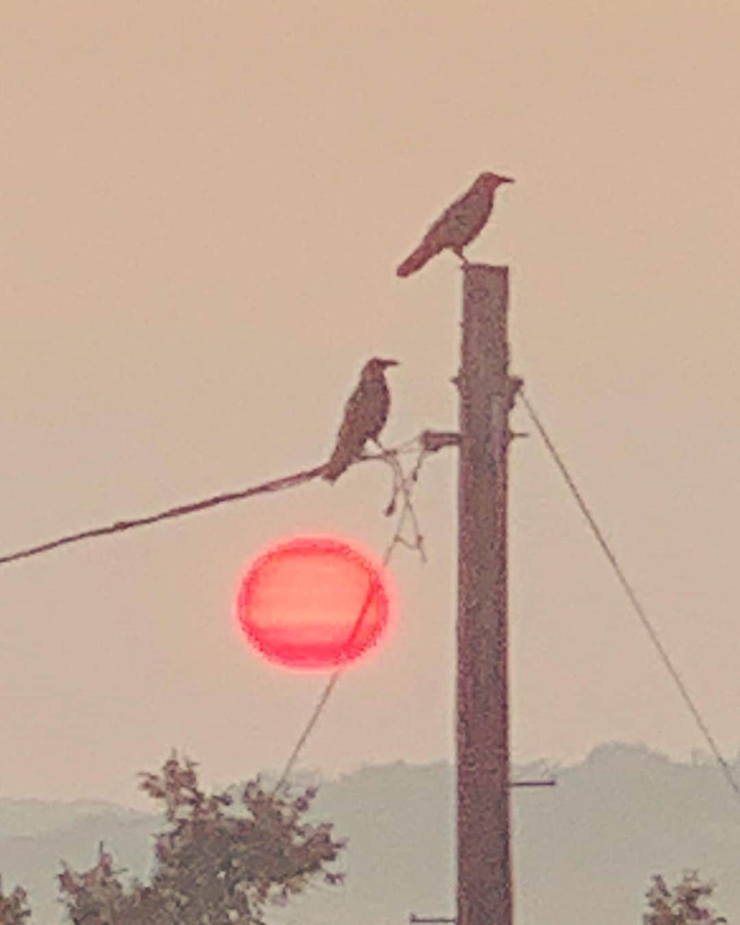 Kara Yoshimoto Buaさんのインスタグラム写真 - (Kara Yoshimoto BuaInstagram)「Last night's sunset with the Ravens. #Magic  #stripedsun When Raven Flies Into Your Life Raven is assuring you of the impeding change. He(she) brings with him(her) the ability to bend time and space for the perfect moment at the right time. He(she) signifies rebirth, renewal, reflection and healing. He(she) helps the transitions and transformations move along smoothly by casting light into the darkness. When the Raven enters into your life, human and animal spirits intermingle. It is in the blackness that the Raven symbolizes that everything mingles until it is brought forth into the light. The Raven can help facilitate this moving into the light as well as shape shifting your life or your being. @spiritanimal.info」9月18日 7時02分 - karayoshimotobua