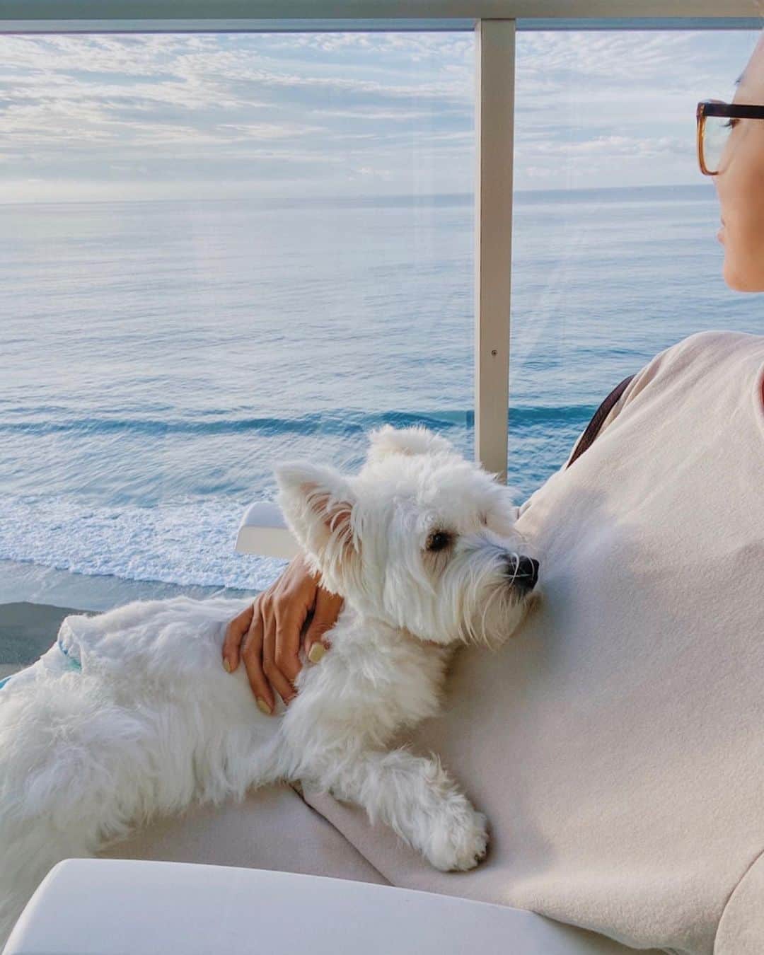 中川珠里のグルメインスタ