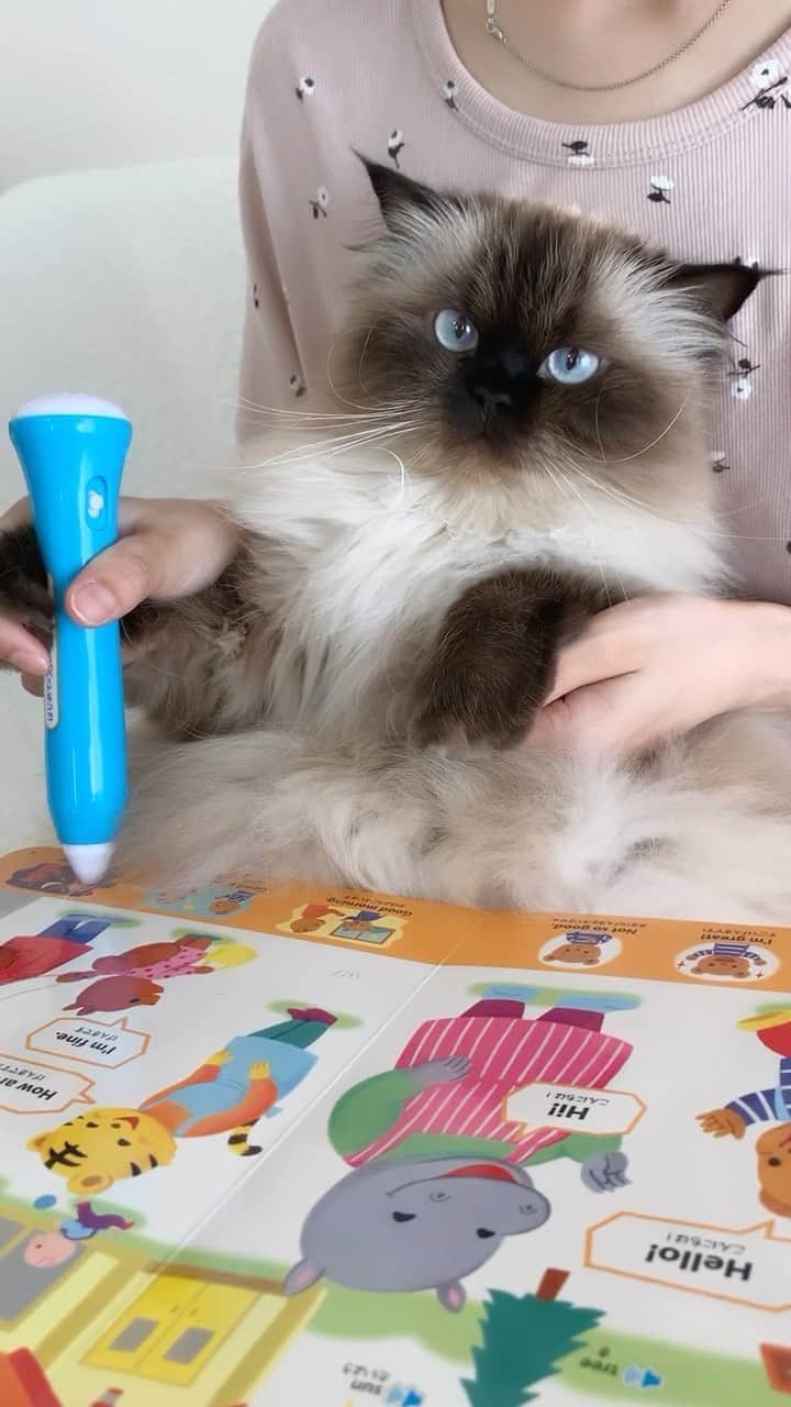 plumeのインスタグラム
