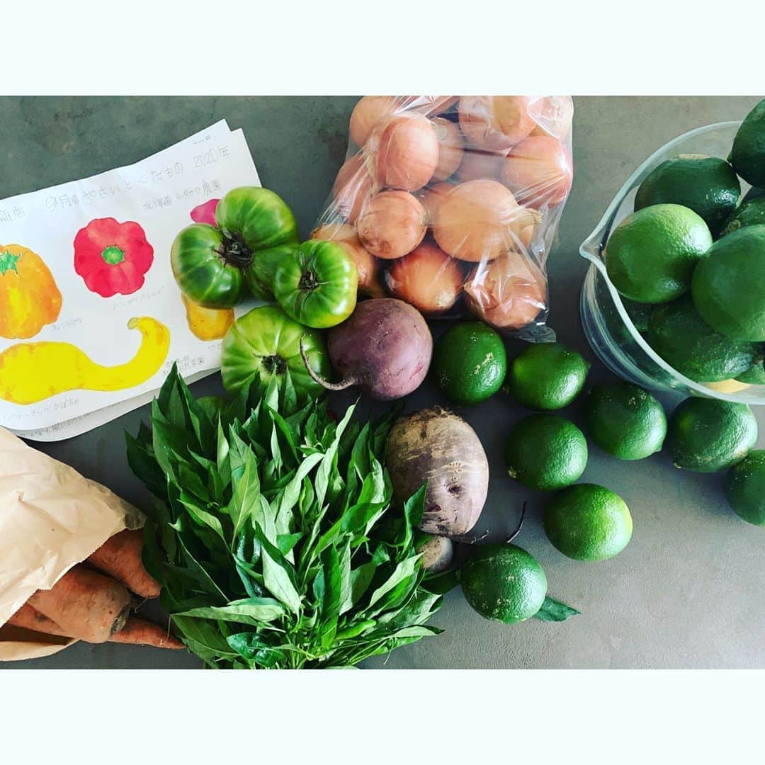 ワタナベマキさんのインスタグラム写真 - (ワタナベマキInstagram)「生き生きとたくさんの野菜をいつもありがとうございます。 いつも、素敵なイラスト付き！ 葉唐辛子 グリーンレモン ビーツ ジャーマングリーンという完熟の緑トマト」9月18日 7時47分 - maki_watanabe