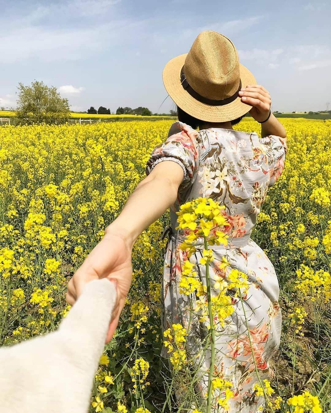 Cats of Instagramさんのインスタグラム写真 - (Cats of InstagramInstagram)「From @pamirthecat: “Oh Darling! Let's be Adventurers!🌿 Which one do you like the most?  1. Autumn / Sülüklü Göl National Park  2. Spring / Canola fields in Silivri  3. Summer/ Wheat fields in Silivri” #catsofinstagram」9月18日 7時50分 - cats_of_instagram