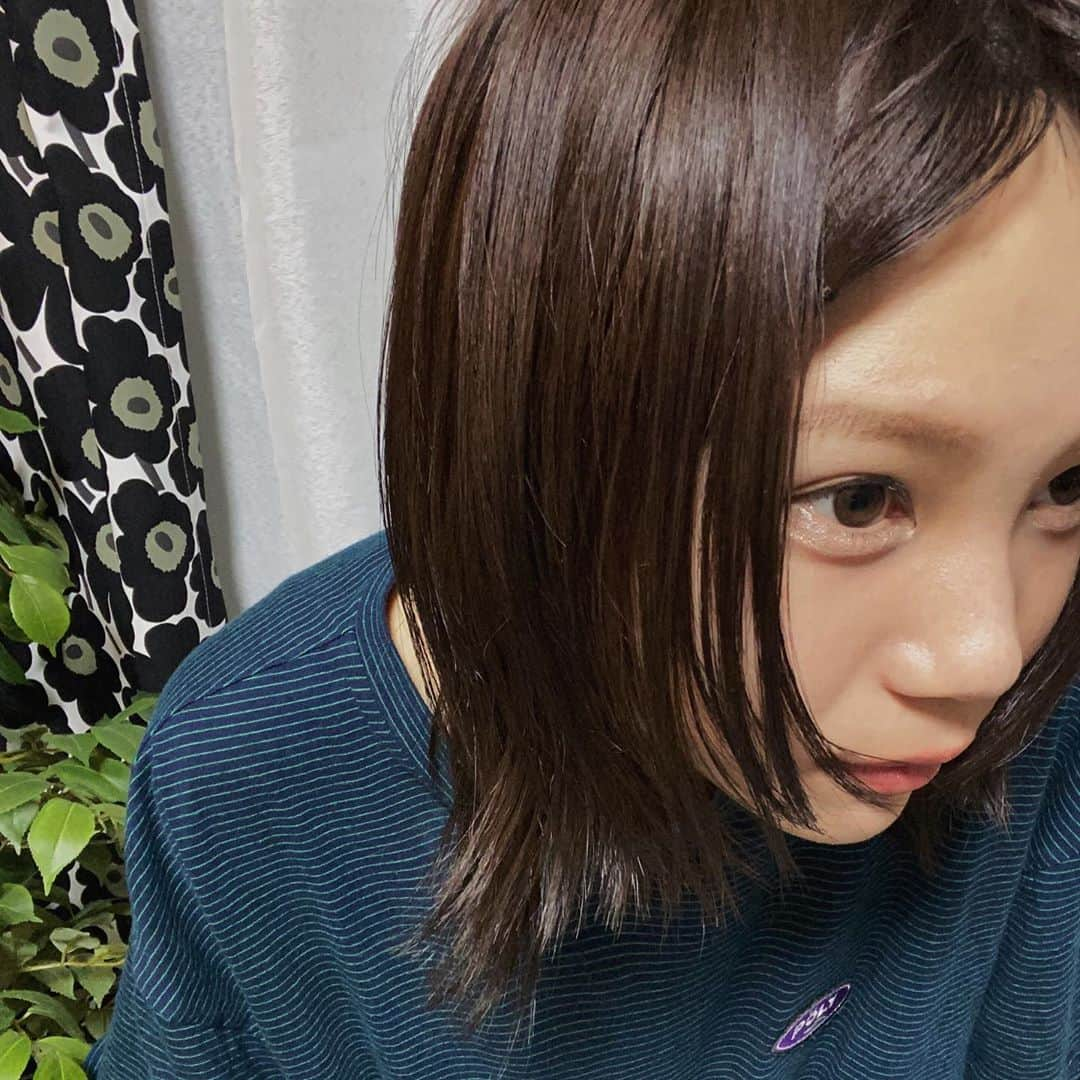 やすだちひろさんのインスタグラム写真 - (やすだちひろInstagram)「おはよう〜！✂️ . 昨日は久しぶりにカットカラーで髪をきれいにしてもらいました☺️🙏🏻 顔まわりは少し切ってスッキリ、 後ろは長さそのままです！ 髪色も綺麗なブラウンに統一してもらいました🙏🏻 髪がうるうるだ〜😭🤍🤍 今回もいつものづまさん！ @zuma227 本当にいつも最強です、、ありがとうございました🥰🥰🥰 . . #おはようbot #おニューヘア」9月18日 8時11分 - chqnchii