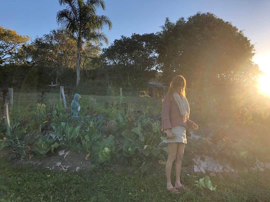 イザベル・ルーカスさんのインスタグラム写真 - (イザベル・ルーカスInstagram)「I find it curious how the word authority has the word author in it. . Do you trust your inner authority or do you prefer being guided by outer authorities? . Authority: Inner and outer  Gently questioning, which do we inherently prioritise and trust to guide us? . Can we allow ourselves the space to question this (outer and inner) authority?  How do we decipher if it's marked with integrity and wisdom?  Genuinely curious to hear your reflections. . #authority #author #innerguide #integrity #wisdom #trust #balance」9月18日 8時11分 - isabellucas