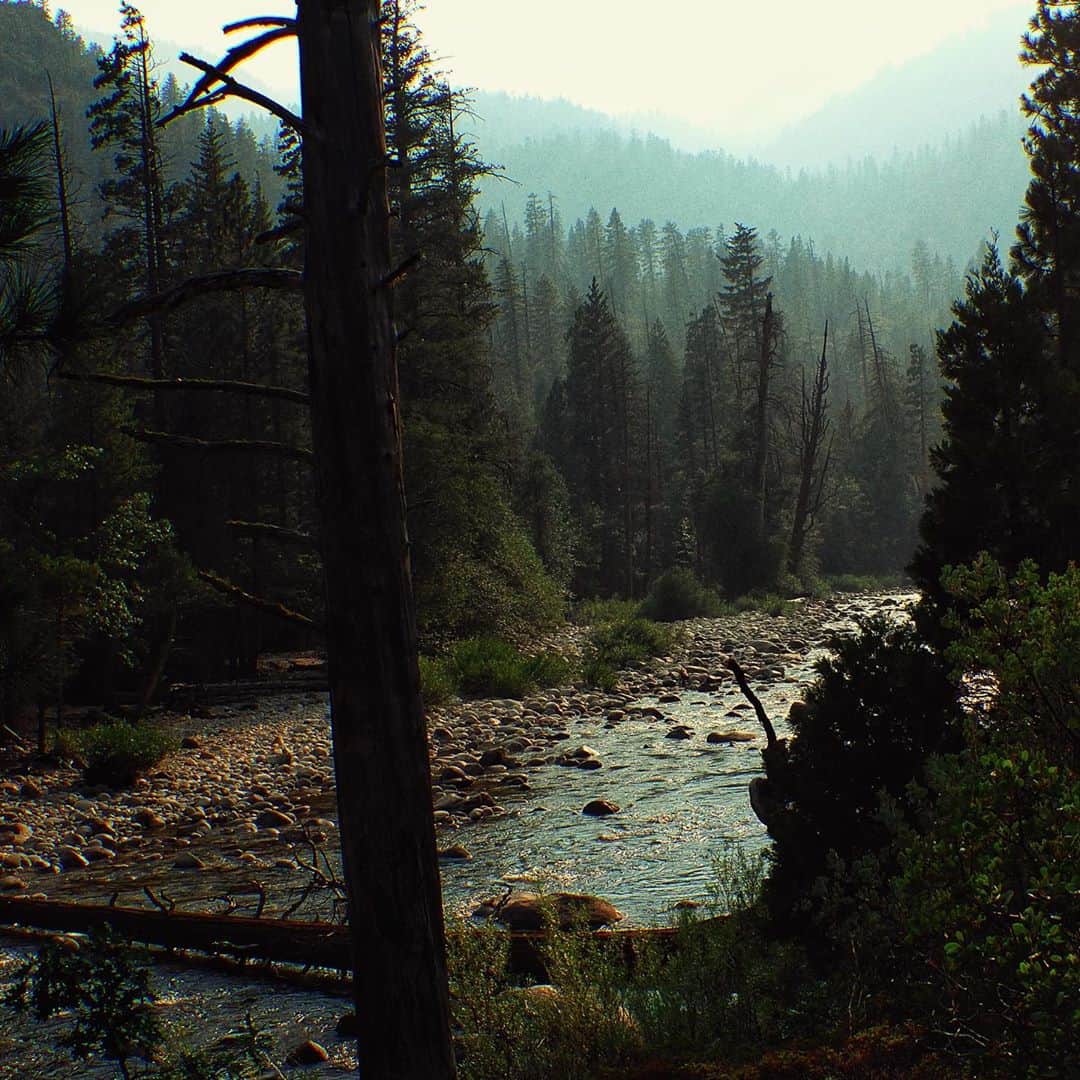 のインスタグラム：「...it is not fly fishing if you are not looking for answers to questions. Norman Maclean」