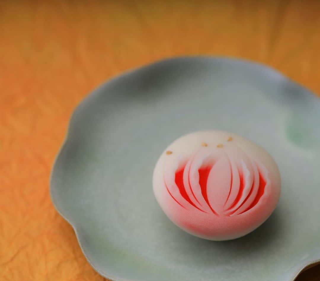 Toru Tsuchieのグルメインスタ