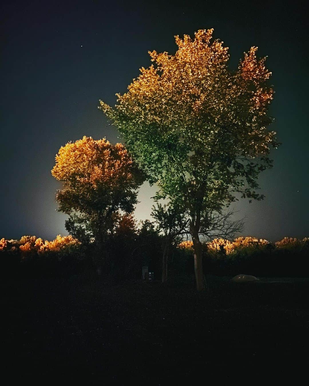 Robert Bingamanのインスタグラム：「Stand in the dark. Forget the year.」