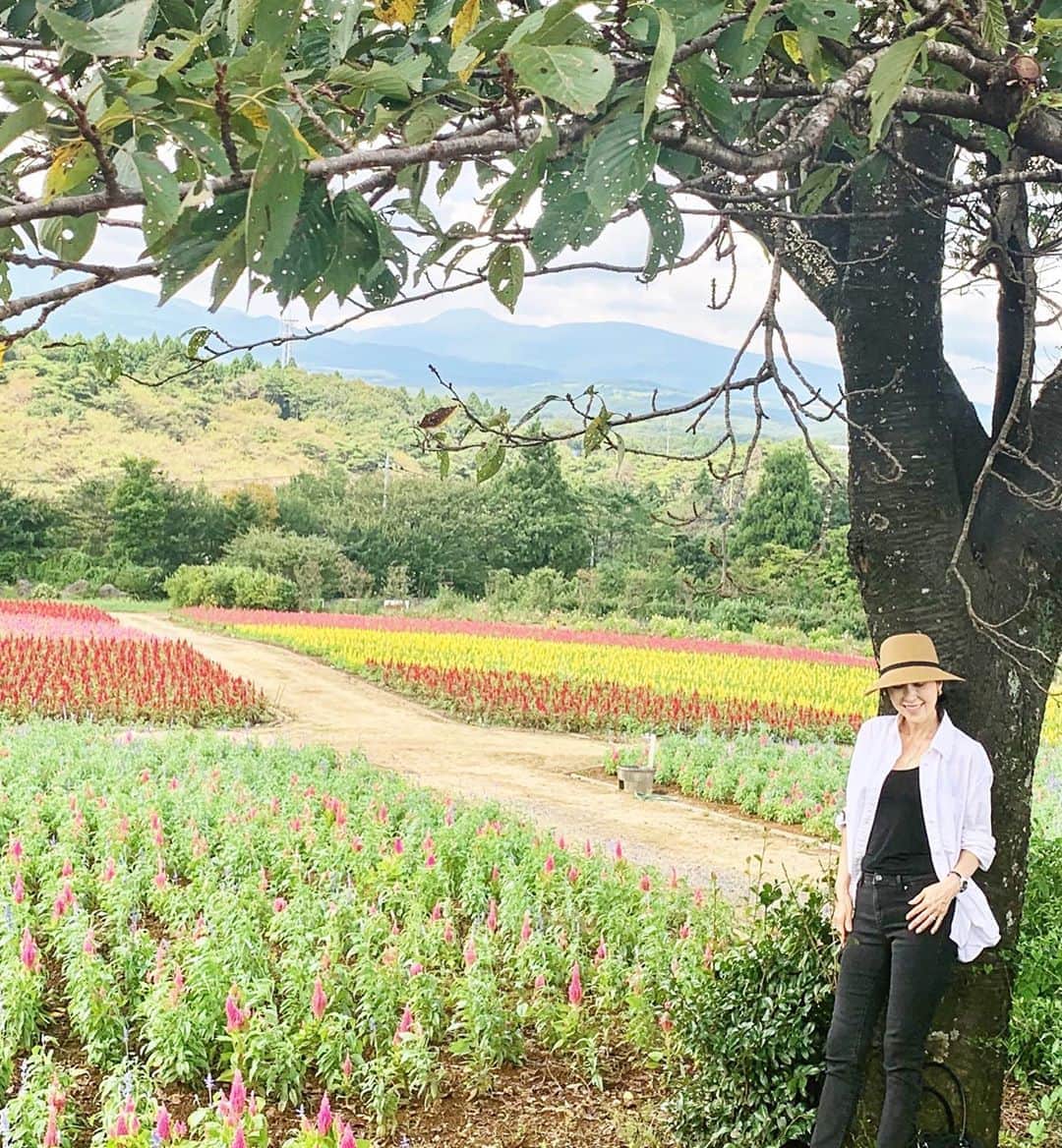 藤田陽子のグルメインスタ