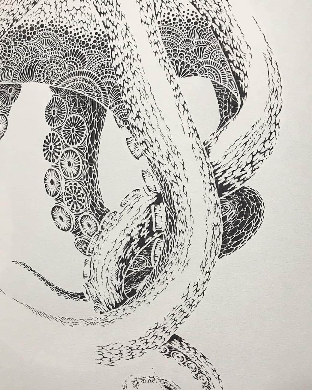 切り剣Masayoさんのインスタグラム写真 - (切り剣MasayoInstagram)「Only one paper  White and Black world  制作シーンを公開！ 製作中の海蛸子の様子。  紙の裏に下書きを書き、そのままカッターを入れていきます。  カッターは市販されているデザインナイフを愛用していて、買えの刃を常に大量にストックしています！  カットが終わったら裏返して完成(^^)  完成品は下書きから左右反転するので、頭の中で脳内変換しています。  #作品 #完成 #Octopus #制作日記 #切り剣 #切り絵 #作品集 販売中 #kirie #papercutting  #papercuttingart  #paperart  #papercut  #papercutout #papercuttingartist  #paperarts  #papercraft  #paperlove  #papercutart  #papercutartist #papercut  #papercutout #papercuttingartist  #paperarts  #papercraft  #paperlove  #papercutart  #papercutartist」9月18日 9時31分 - kiriesousakukamasayo