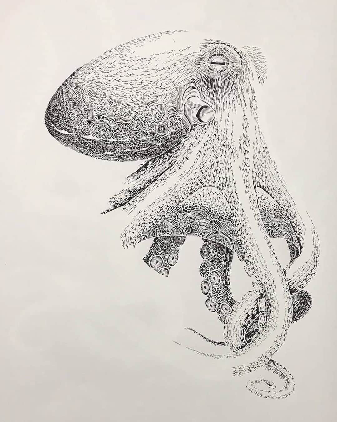 切り剣Masayoさんのインスタグラム写真 - (切り剣MasayoInstagram)「Only one paper  White and Black world  制作シーンを公開！ 製作中の海蛸子の様子。  紙の裏に下書きを書き、そのままカッターを入れていきます。  カッターは市販されているデザインナイフを愛用していて、買えの刃を常に大量にストックしています！  カットが終わったら裏返して完成(^^)  完成品は下書きから左右反転するので、頭の中で脳内変換しています。  #作品 #完成 #Octopus #制作日記 #切り剣 #切り絵 #作品集 販売中 #kirie #papercutting  #papercuttingart  #paperart  #papercut  #papercutout #papercuttingartist  #paperarts  #papercraft  #paperlove  #papercutart  #papercutartist #papercut  #papercutout #papercuttingartist  #paperarts  #papercraft  #paperlove  #papercutart  #papercutartist」9月18日 9時31分 - kiriesousakukamasayo