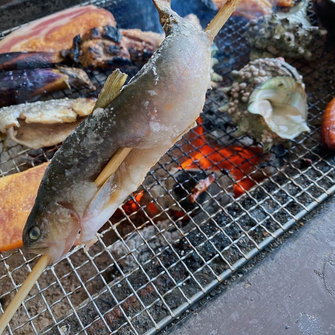 中川珠里さんのインスタグラム写真 - (中川珠里Instagram)「.﻿ ﻿ BBQ@大多喜﻿ ﻿ 川散歩したあとに👍🏽﻿ ﻿ 鮎じゃなくニジマスとイワナ。﻿ たぶんニジマス❔﻿ 見分けが難しい﻿ すごく美味しかった〜✨✨  サザエは勝浦駅ちかくの魚屋さんで。 凄く美味しかったです  👦🏼はガーリックシュリンプが お気に入りでした。🧄  りーちゃんは絶対人間の食べ物に興味ださないお利口です🐶」9月18日 9時51分 - juri1104