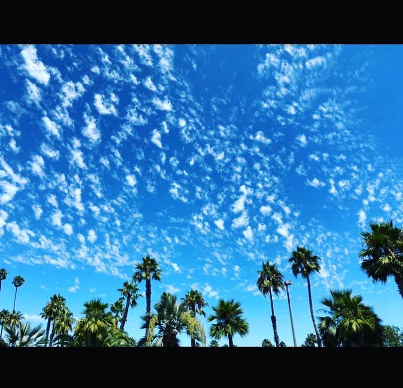 ダンドイ舞莉花さんのインスタグラム写真 - (ダンドイ舞莉花Instagram)「2ヶ月。  空を見上げて思い出す。」9月18日 10時29分 - mdandoy18