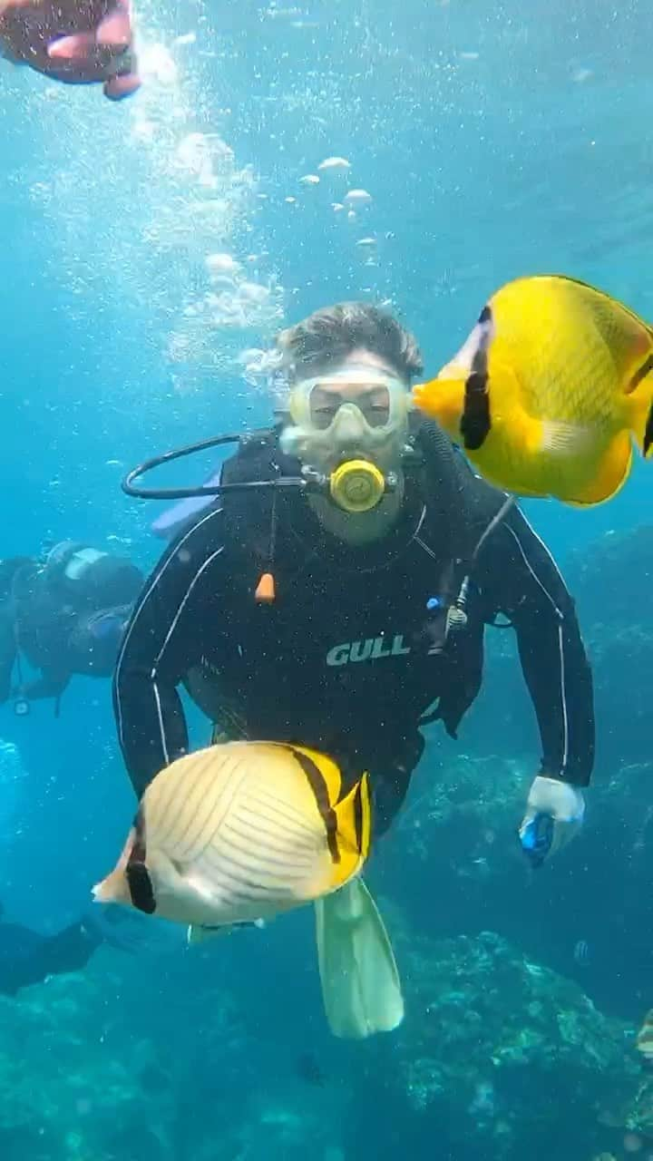 愛鷹亮のインスタグラム