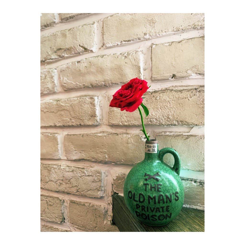 大久保麻梨子さんのインスタグラム写真 - (大久保麻梨子Instagram)「在陽台又開了一朵玫瑰  ベランダの薔薇がまた咲いてくれました。  #taiwan #life #rose」9月18日 11時40分 - marilog0907
