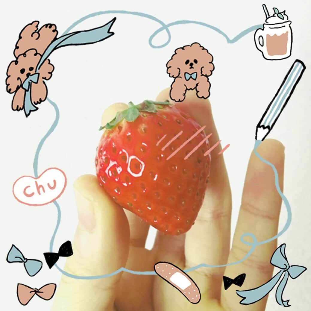 LINE Cameraのインスタグラム