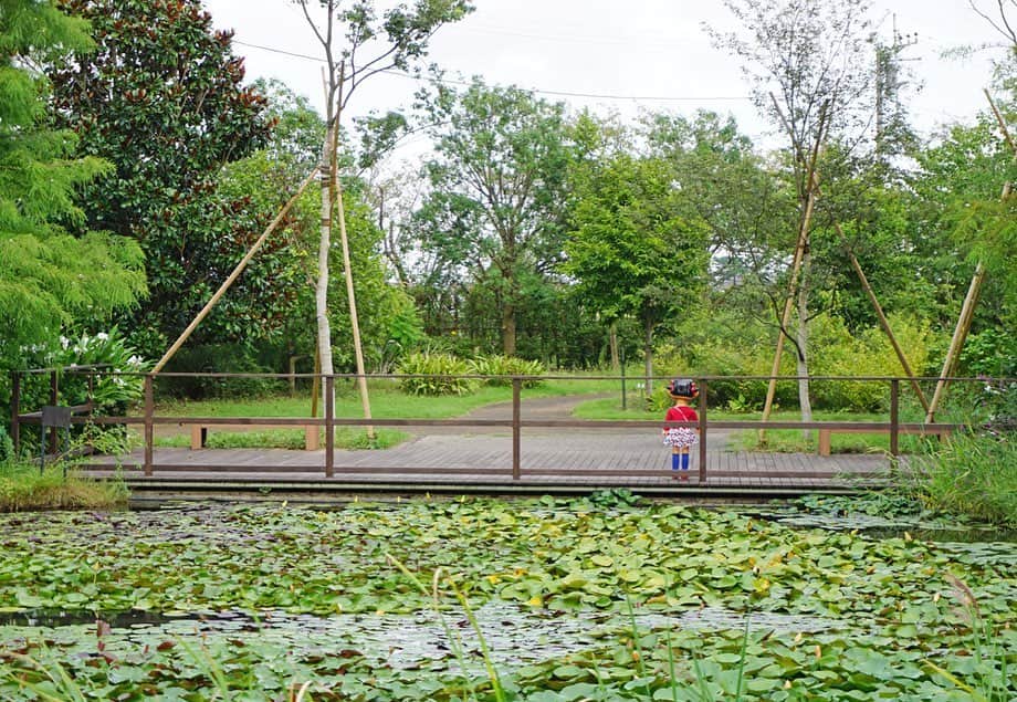 平塚市さんのインスタグラム写真 - (平塚市Instagram)「* 花菜ガーデン開園10周年と ペコちゃん生誕70周年を記念した スペシャルイベント、 「花と緑のガーデン・パーティー」が 本日から開催されます！ 貴重なペコちゃん人形が並ぶミニミュージアムや、 ステッカーがもらえるスタンプラリーなど 大人から子どもまで楽しめる5日間♪ 園内のさまざまな場所にペコちゃんがいて、 探しながら散策できて楽しいですよ。 花菜ガーデンオリジナルパッケージの ミルキーも販売されていますので、 この機会にぜひゲットしてください。 * ★ペコちゃんがやってくる　花と緑のガーデン・パーティー 期間：9/18(金)～22(火) 時間：9:00～17:00 場所：花菜ガーデン(寺田縄496-1) ※スタンプラリーのステッカーは無くなり次第終了。 *** #手をつなぎたくなる街 #hiratsukagood #hiratsuka#平塚 #kanagawaphotoclub #花菜ガーデン #花菜ガーデン10周年 #ペコちゃん#不二家 #ペコちゃんコラボ #ペコちゃんグッズ #ペコちゃん70周年 #おめでとうございます #イベント #スタンプラリー #フォトスポット #ミルキー#オリジナルパッケージ #早速ゲット #週末の過ごし方 #日々#暮らし #instagramjapan#igersjp」9月18日 12時00分 - hiratsukagood