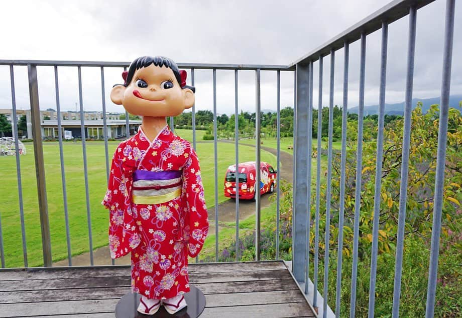 平塚市さんのインスタグラム写真 - (平塚市Instagram)「* 花菜ガーデン開園10周年と ペコちゃん生誕70周年を記念した スペシャルイベント、 「花と緑のガーデン・パーティー」が 本日から開催されます！ 貴重なペコちゃん人形が並ぶミニミュージアムや、 ステッカーがもらえるスタンプラリーなど 大人から子どもまで楽しめる5日間♪ 園内のさまざまな場所にペコちゃんがいて、 探しながら散策できて楽しいですよ。 花菜ガーデンオリジナルパッケージの ミルキーも販売されていますので、 この機会にぜひゲットしてください。 * ★ペコちゃんがやってくる　花と緑のガーデン・パーティー 期間：9/18(金)～22(火) 時間：9:00～17:00 場所：花菜ガーデン(寺田縄496-1) ※スタンプラリーのステッカーは無くなり次第終了。 *** #手をつなぎたくなる街 #hiratsukagood #hiratsuka#平塚 #kanagawaphotoclub #花菜ガーデン #花菜ガーデン10周年 #ペコちゃん#不二家 #ペコちゃんコラボ #ペコちゃんグッズ #ペコちゃん70周年 #おめでとうございます #イベント #スタンプラリー #フォトスポット #ミルキー#オリジナルパッケージ #早速ゲット #週末の過ごし方 #日々#暮らし #instagramjapan#igersjp」9月18日 12時00分 - hiratsukagood