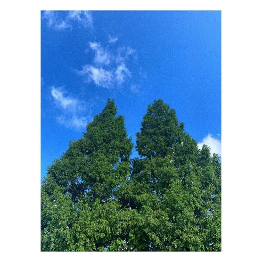 二宮愛のインスタグラム：「秋を見つけるのが上手 ________________ 1番好きなんですよね、秋。 雲の形も、風の色も、虫の声も、全部最高。 最近は時間さえあれば、家の目の前の広ぉ〜い公園で本読んでます。 ________________ #秋 #とにかく好き #autumn」