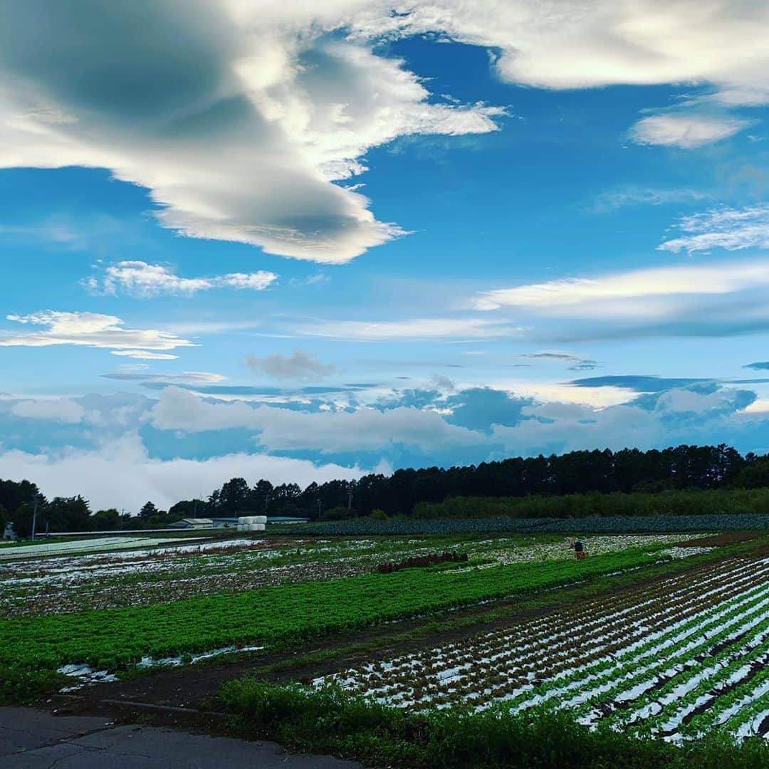shin -SAKE instructor-さんのインスタグラム写真 - (shin -SAKE instructor-Instagram)「雲をちゃんと見たことなんて、ねぇよ。 すご。  #長野 #御代田 #雲 #畑」9月18日 22時08分 - shim_8k