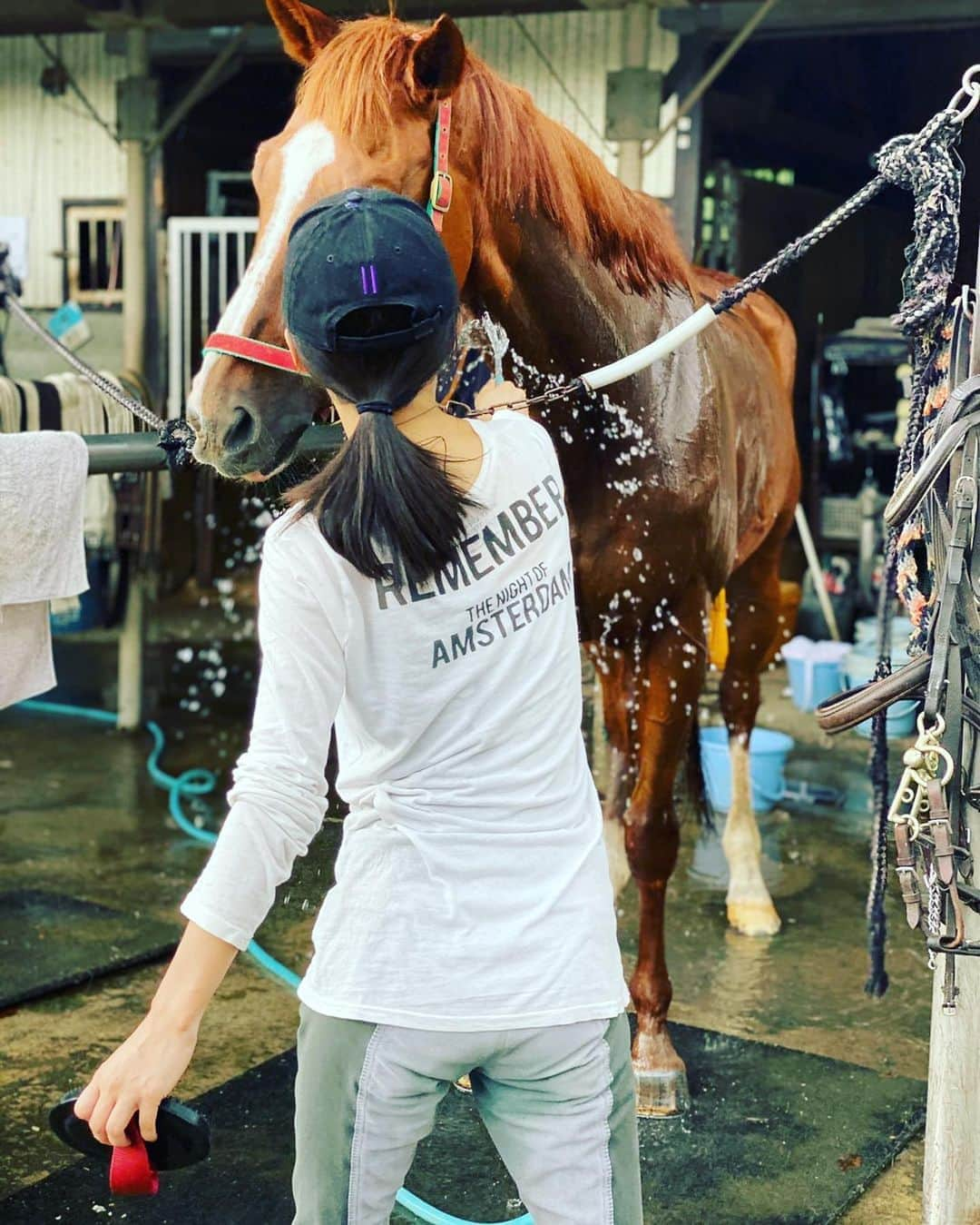 芳野友美さんのインスタグラム写真 - (芳野友美Instagram)「その① 今日は#乗馬レッスン に行ってきたよ☆ #サラブレッド スズランちゃんのお尻 と #芳野友美 のお尻 負けました…😅」9月18日 22時15分 - yumi_yoshino_1980