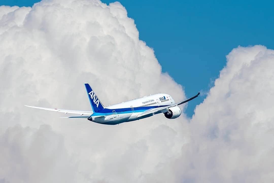 All Nippon Airwaysさんのインスタグラム写真 - (All Nippon AirwaysInstagram)「If we could pick any destination, we'd fly by your side once more. What place do you dream of going to? 📷: @tamazusa_photo #Regram #FlyANA」9月18日 22時39分 - allnipponairways